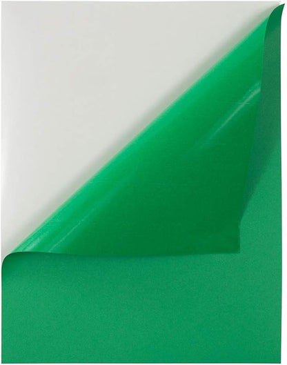 JAM PAPER Full Sheet Shipping Labels - Printable Sticker Paper - 8 1/2 x 11 - Green - 10 Full Pages/Pack | Address Labels - TrueDesk