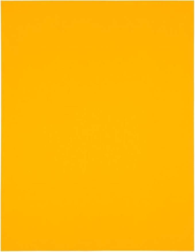 JAM Paper Mailing Address Labels - Extra Large - 4" x 5" - Neon Fluorescent Orange - 120/pack | Address Labels - TrueDesk