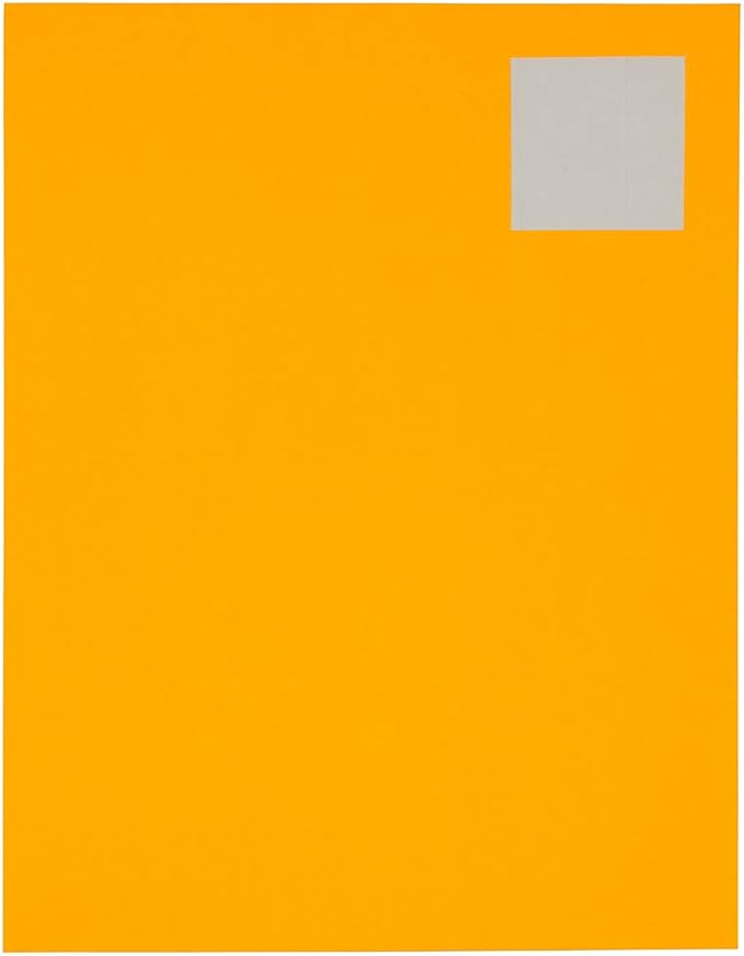 JAM PAPER Product & Container Labels - Square - 2 x 2 - Neon Orange - 120/Pack | Address Labels - TrueDesk