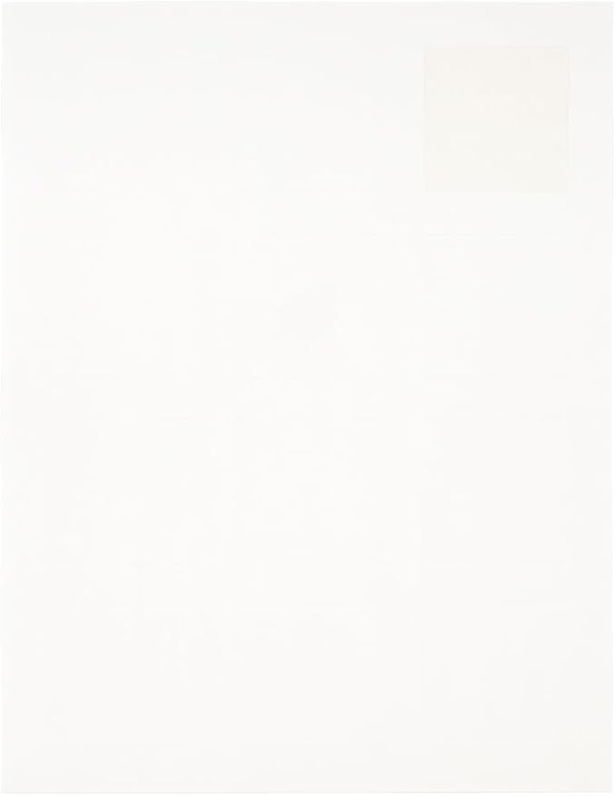 JAM PAPER Product & Container Labels - Square - 2 x 2 - White - 120/Pack | Address Labels - TrueDesk