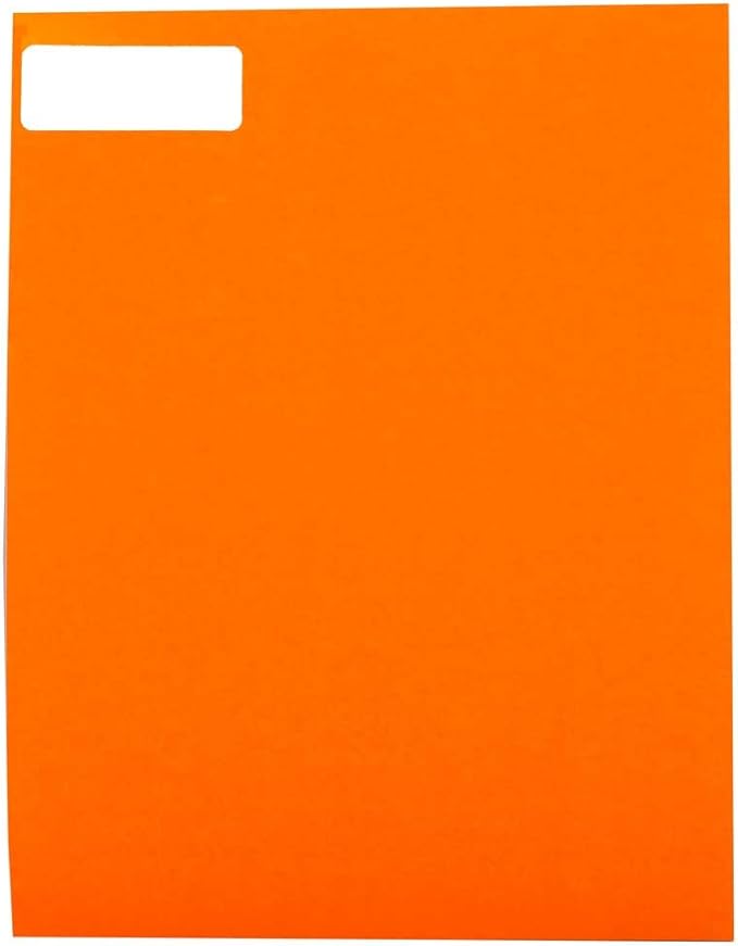JAM PAPER Return Address Labels - Standard Mailing - 1 x 2 5/8 - Assorted Neon Colors - 600 Shipping Labels/Pack | Address Labels - TrueDesk