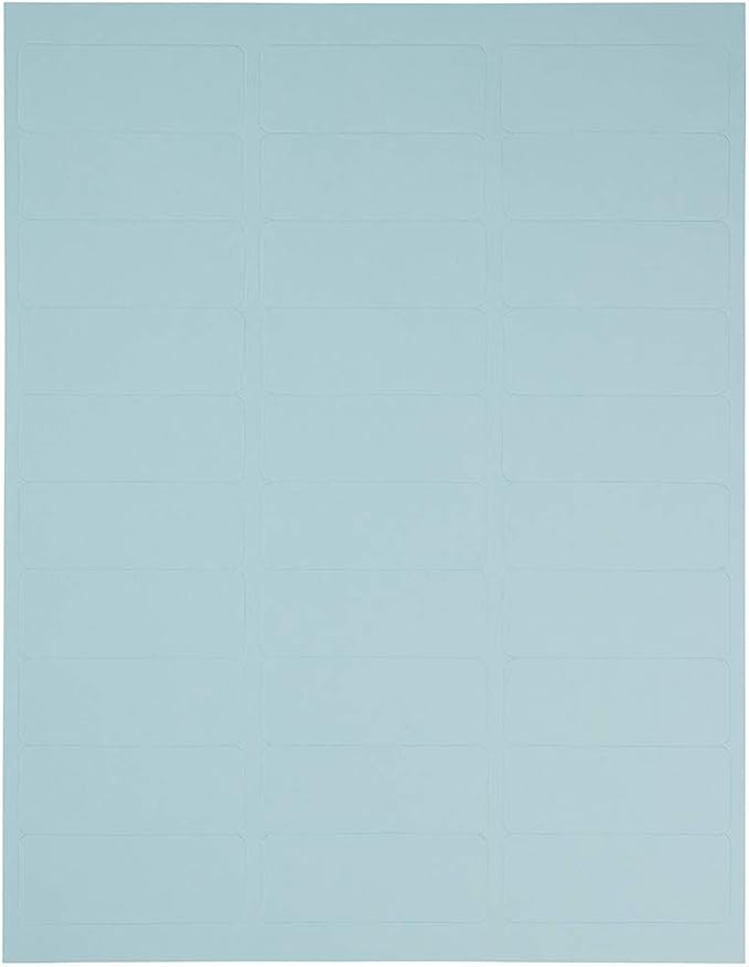 JAM PAPER Return Address Labels - Standard Mailing - 1 x 2 5/8 - Baby Blue - 120 Shipping Labels/Pack | Address Labels - TrueDesk