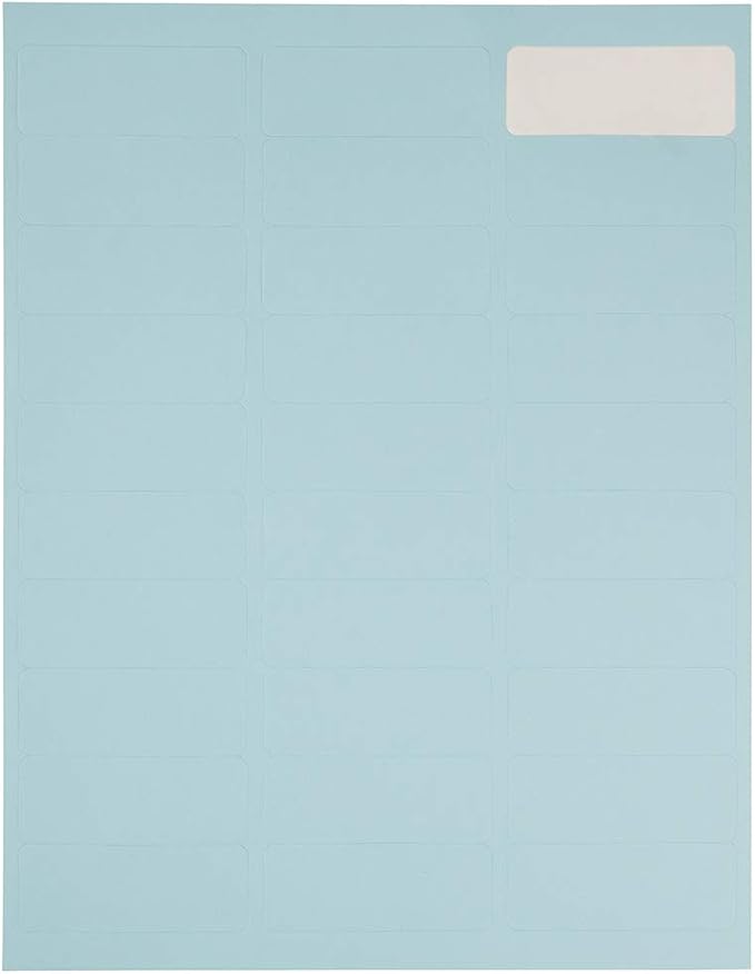 JAM PAPER Return Address Labels - Standard Mailing - 1 x 2 5/8 - Baby Blue - 120 Shipping Labels/Pack | Address Labels - TrueDesk