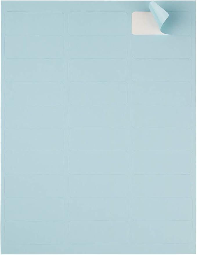 JAM PAPER Return Address Labels - Standard Mailing - 1 x 2 5/8 - Baby Blue - 120 Shipping Labels/Pack | Address Labels - TrueDesk