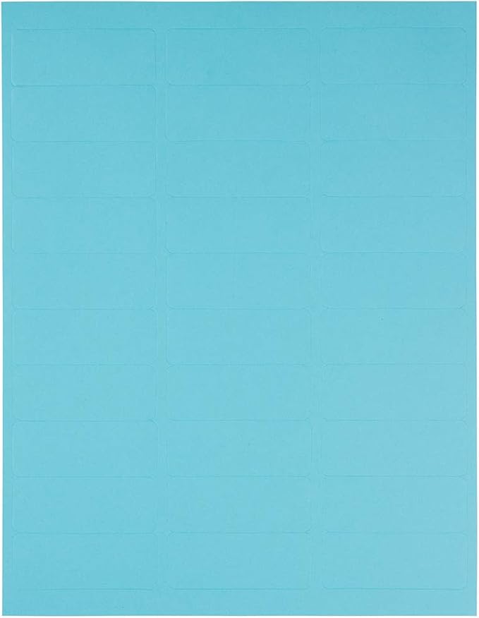 JAM PAPER Return Address Labels - Standard Mailing - 1 x 2 5/8 - Blue - 120 Shipping Labels/Pack | Address Labels - TrueDesk