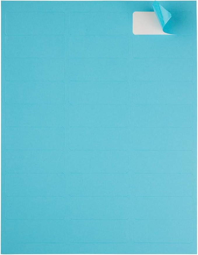 JAM PAPER Return Address Labels - Standard Mailing - 1 x 2 5/8 - Blue - 120 Shipping Labels/Pack | Address Labels - TrueDesk