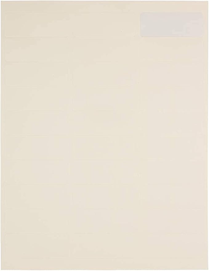 JAM PAPER Return Address Labels - Standard Mailing - 1 x 2 5/8 - Ivory - 120 Shipping Labels/Pack | Address Labels - TrueDesk