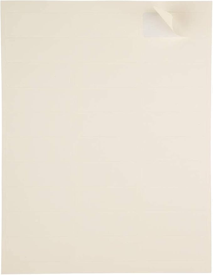 JAM PAPER Return Address Labels - Standard Mailing - 1 x 2 5/8 - Ivory - 120 Shipping Labels/Pack | Address Labels - TrueDesk
