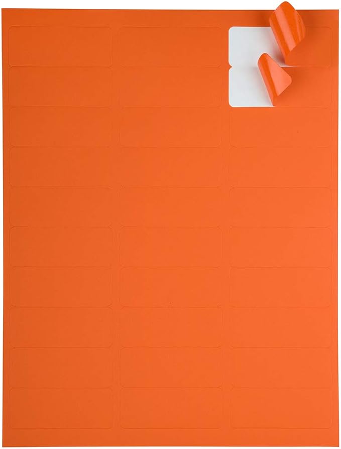 JAM PAPER Return Address Labels - Standard Mailing - 1 x 2 5/8 - Orange - 120 Shipping Labels/Pack | Address Labels - TrueDesk