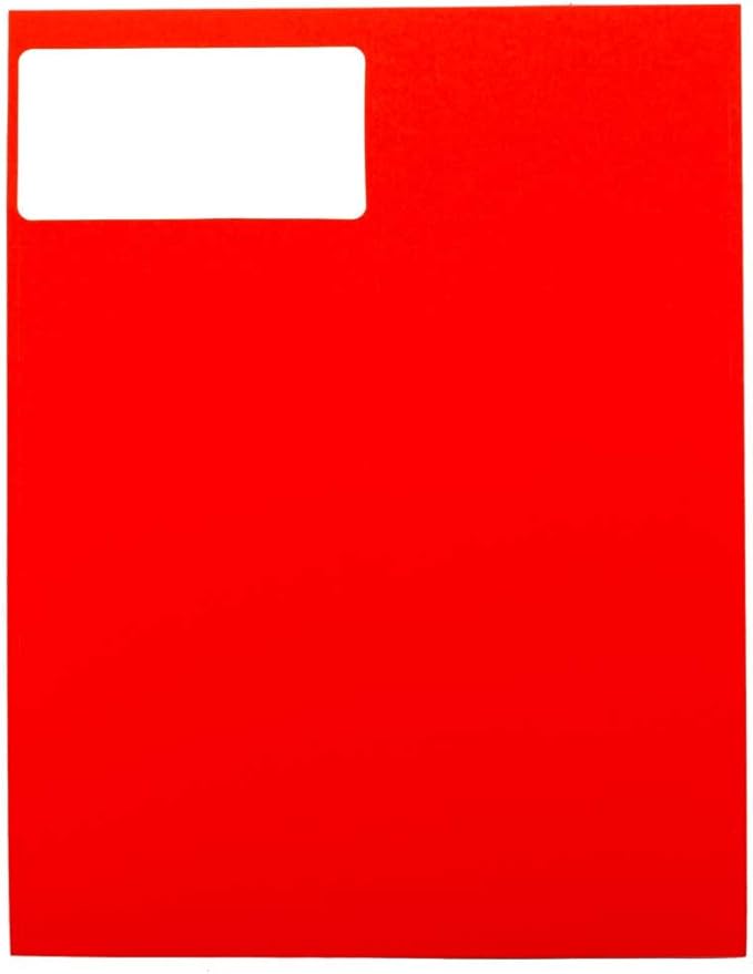JAM PAPER Shipping Address Labels - Standard Mailing - 2 x 4 - Assorted Bright Neon Fluorescent - 6 Packs of 20 Labels - 120 Labels Total | Address Labels - TrueDesk
