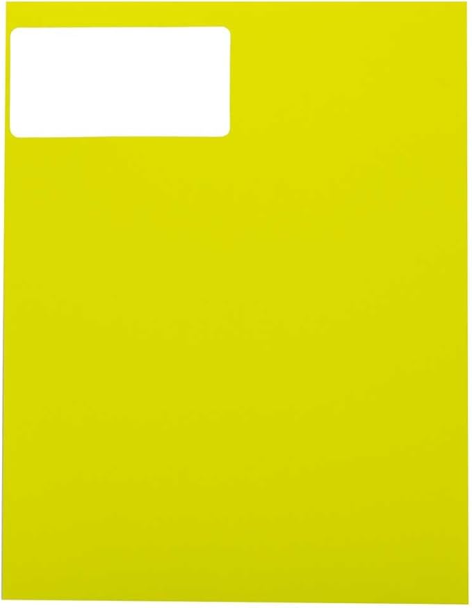 JAM PAPER Shipping Address Labels - Standard Mailing - 2 x 4 - Assorted Bright Neon Fluorescent - 6 Packs of 20 Labels - 120 Labels Total | Address Labels - TrueDesk