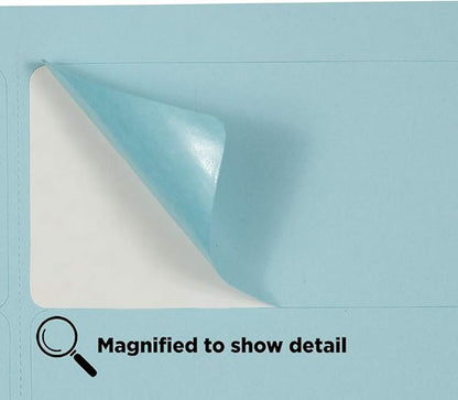 JAM PAPER Shipping Address Labels - Standard Mailing - 2 x 4 - Baby Blue - 120/Pack | Address Labels - TrueDesk