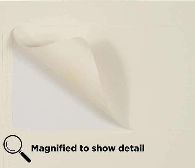 JAM PAPER Shipping Address Labels - Standard Mailing - 2 x 4 - Ivory - 120/Pack | Address Labels - TrueDesk