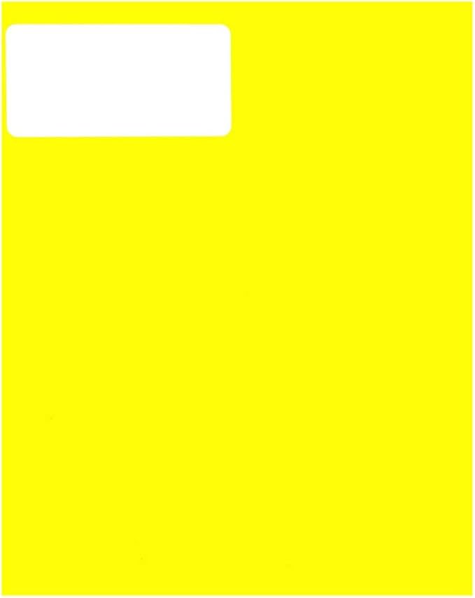 JAM PAPER Shipping Address Labels - Standard Mailing - 2 x 4 - Neon Fluorescent Yellow - 120/Pack | Address Labels - TrueDesk