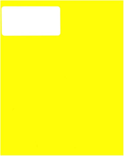 JAM PAPER Shipping Address Labels - Standard Mailing - 2 x 4 - Neon Fluorescent Yellow - 120/Pack | Address Labels - TrueDesk