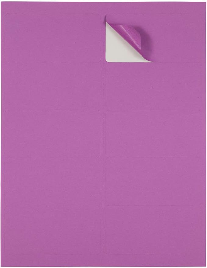 JAM PAPER Shipping Address Labels - Standard Mailing - 2 x 4 - Violet - 120/Pack | Address Labels - TrueDesk