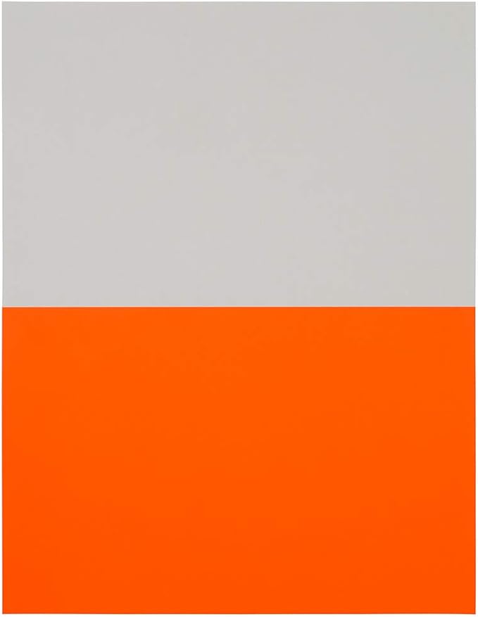 JAM PAPER Shipping Labels - Half Page - 5 1/2 x 8 1/2 - Neon Deep Red/Orange - 50/Pack | Address Labels - TrueDesk