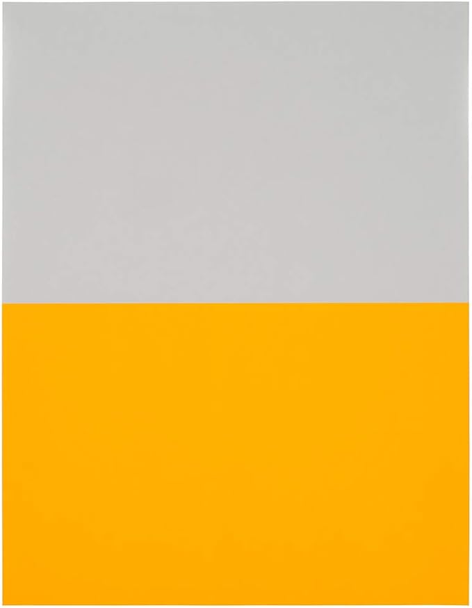 JAM PAPER Shipping Labels - Half Page - 5 1/2 x 8 1/2 - Neon Orange - 50/Pack | Address Labels - TrueDesk