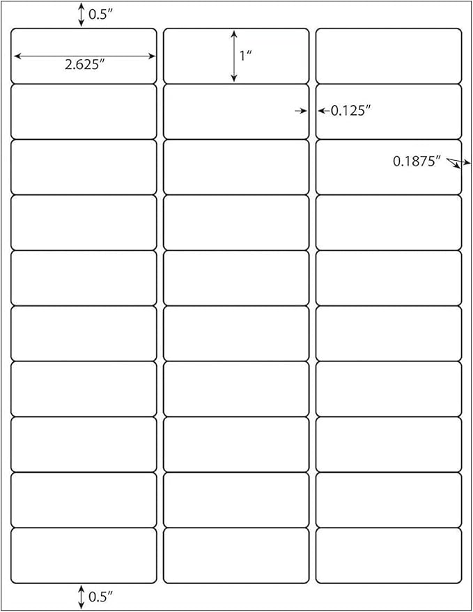 LabelMore 30 up Labels 1" X 2 - 5/8" Shipping Address FBA Label for Laser and Inkjet Printers (1,000 Sheets, 30,000 Labels) | Laser Inkjet Printer Labels - TrueDesk