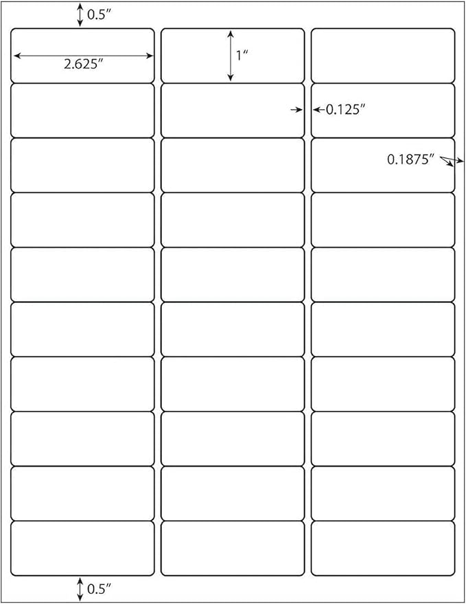 LabelMore 30 up Labels 1" X 2 - 5/8" Shipping Address FBA Label for Laser and Inkjet Printers (4000 Sheets / 120000 Labels) | Laser Inkjet Printer Labels - TrueDesk