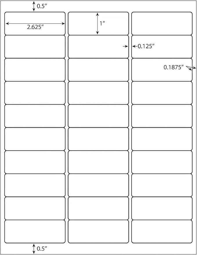 LabelMore 30 up Labels 1" X 2 - 5/8" Shipping Address FBA Label for Laser and Inkjet Printers (5000 Sheets / 150000 Labels) | Laser Inkjet Printer Labels - TrueDesk