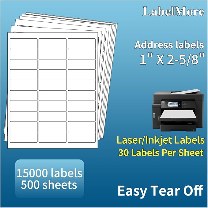 LabelMore Mailing Address Labels, 1" x 2 - 5/8", 30 up Labels for Laser or Inkjet Printable, 30 - Up FBA Labels, 15000 Labels - 500 Sheets | Laser Inkjet Printer Labels - TrueDesk