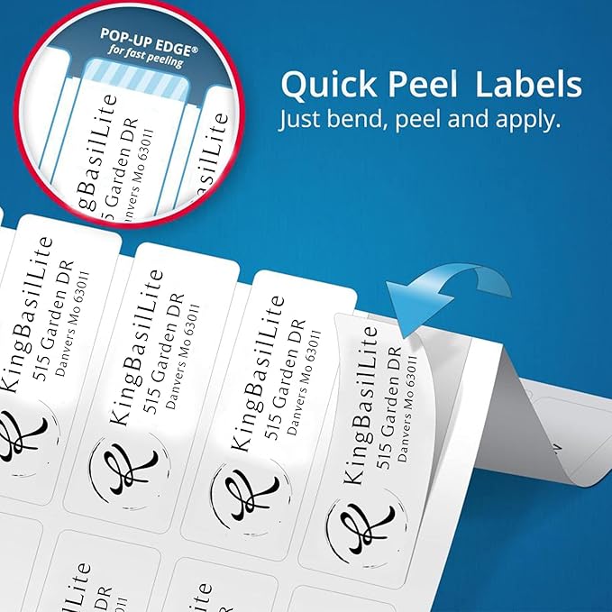 LINMAGCO Personalized Return Address Labels Clear 500 Pcs Mail Labels for Envelopes Weddings Self Adhesive Rectangle Elegant Name Stickers… | Address Labels - TrueDesk