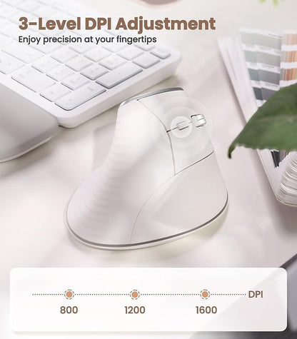 Nulea M510 Vertical Mouse Wireless, Ergonomic Mouse for Comfy Tracking, 3 Adjustable DPI (800 - 1200 - 1600), 2.4G Wireless Vertical Mouse with 6 Buttons, Compatible with Windows, Mac OS, Laptop, White | Mice - TrueDesk