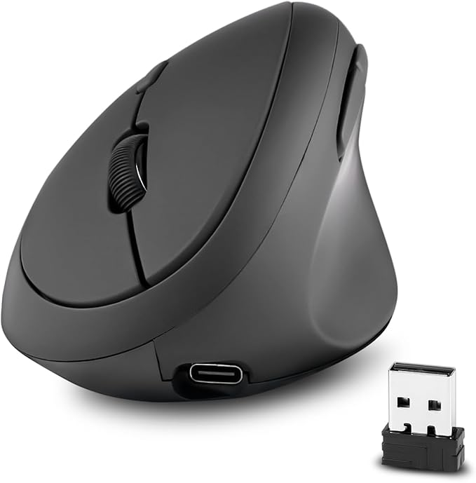 Perixx PERIMICE - 719R Wireless 2.4G Rechargeable Ergonomic Mouse - Duo Wired and Cordless Charging Feature - Black | Mice - TrueDesk