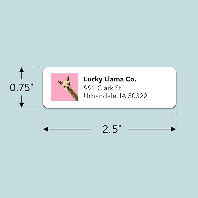 Personalized Return Address Labels (Upload Your Photo) - Custom Image Address Stickers on Sheets (50 - 1000 Labels) | Address Labels - TrueDesk
