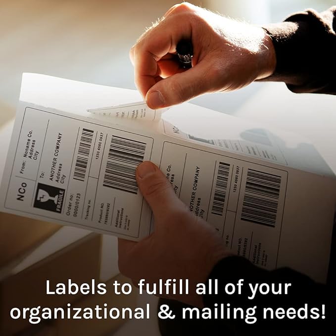 Premium Label Supply White Sticker Address Labels – 2" x 4" – Laser/Inkjet Compatible – (10 per Sheet), 2000 Sheets – 20,000 Total Adhesive Labels | Laser Inkjet Printer Labels - TrueDesk