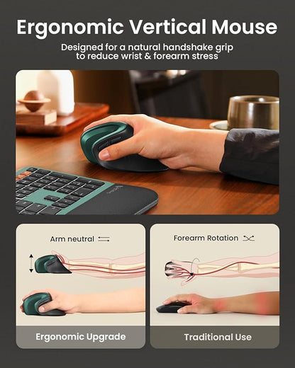 ProtoArc Ergonomic Mouse, EM11 NL Bluetooth Rechargeable Wireless Vertical Mouse, 3 Multi - Device Connectivity for Computer/PC/Laptop, 2.4GHz USB - A Optical Mice for Windows, Mac OS, Green | Mice - TrueDesk