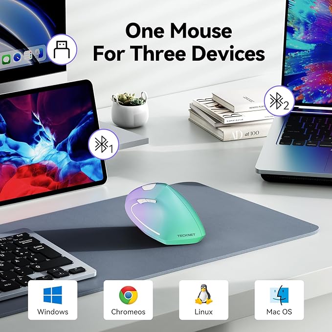 TECKNET Ergonomic Mouse, Wireless Bluetooth Vertical Mouse, 4800 DPI Optical Tracking, 6 Adjustable DPI, Quiet Clicks, 2.4GHz with USB A Receiver, 12 Months Battery, 6 Buttons, Wide Compatibility | Mice - TrueDesk
