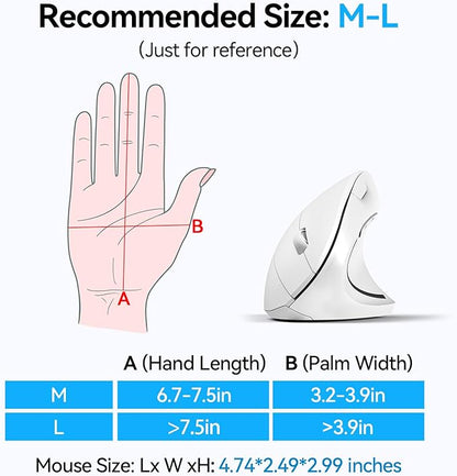 TECKNET Ergonomic Mouse, Wireless Bluetooth Vertical Mouse, 4800 DPI Optical Tracking, 6 Adjustable DPI, Quiet Clicks, 2.4GHz with USB A Receiver, 12 Months Battery, 6 Buttons, Wide Compatibility | Mice - TrueDesk